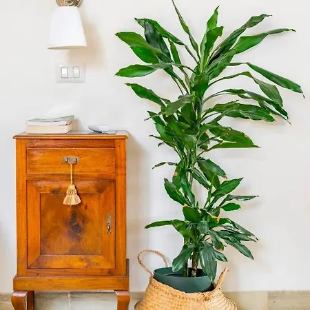 Casa Aoom - Con Sala Yoga E Pilates Holiday home